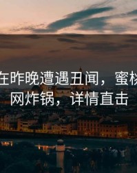 当事人在昨晚遭遇丑闻，蜜桃传媒全网炸锅，详情直击