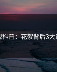 香蕉影视科普：花絮背后3大误区揭秘