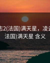 凌云壮志2(法国)满天星，凌云壮志2(法国)满天星 含义