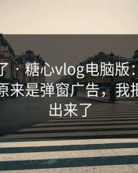 太离谱了 · 糖心vlog电脑版：我当场清醒：原来是弹窗广告，我把坑点列出来了