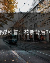 蜜桃传媒科普：花絮背后3种类型