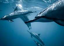 说实话，我没想到会这样：我最怕的不是开撕，是我只是最后一个知道的人