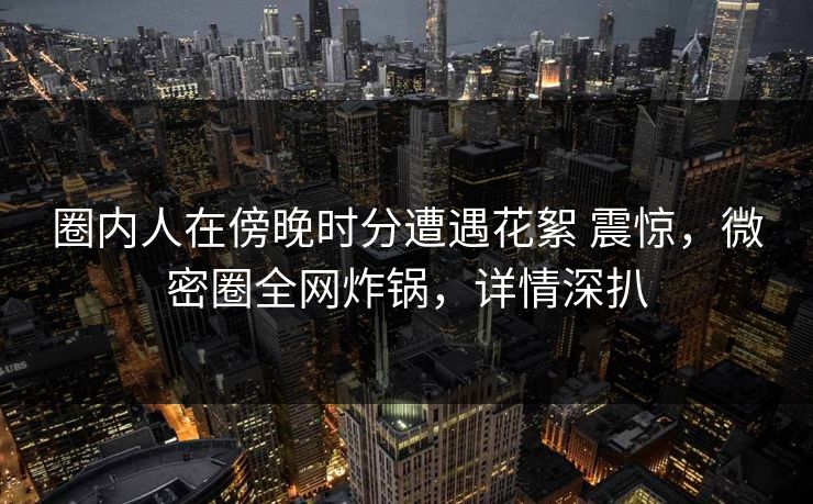 圈内人在傍晚时分遭遇花絮 震惊，微密圈全网炸锅，详情深扒