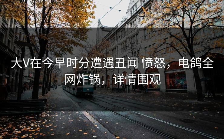大V在今早时分遭遇丑闻 愤怒，电鸽全网炸锅，详情围观